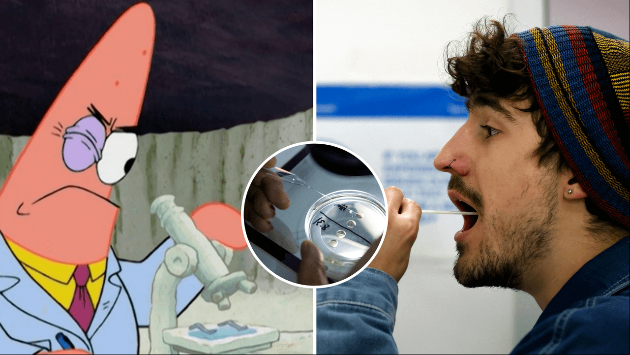 Científicos descubren una nueva ‘forma de vida’ en los seres humanos: ¿qué son los obeliscos?