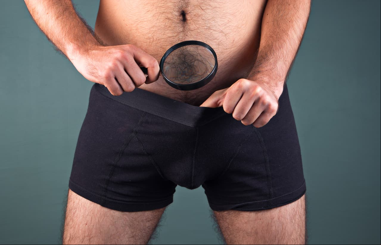 5 cosas que no sabías sobre el pene