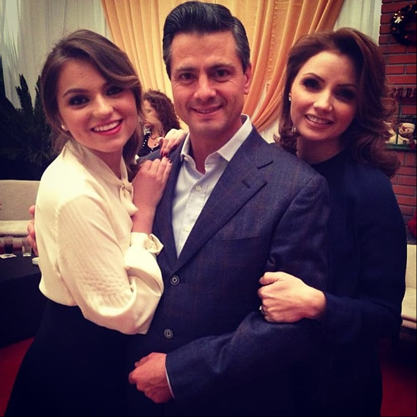 El 27 de noviembre de 2010, Angélica Rivera y Enrique Peña Nieto se casaron en la Catedral de Toluca. El primero de diciembre de 2012, Peña Nieto comenzó su mandato presidencial, por lo que Sofía comenzó a aparecer en algunos de los eventos más importantes del ámbito político.