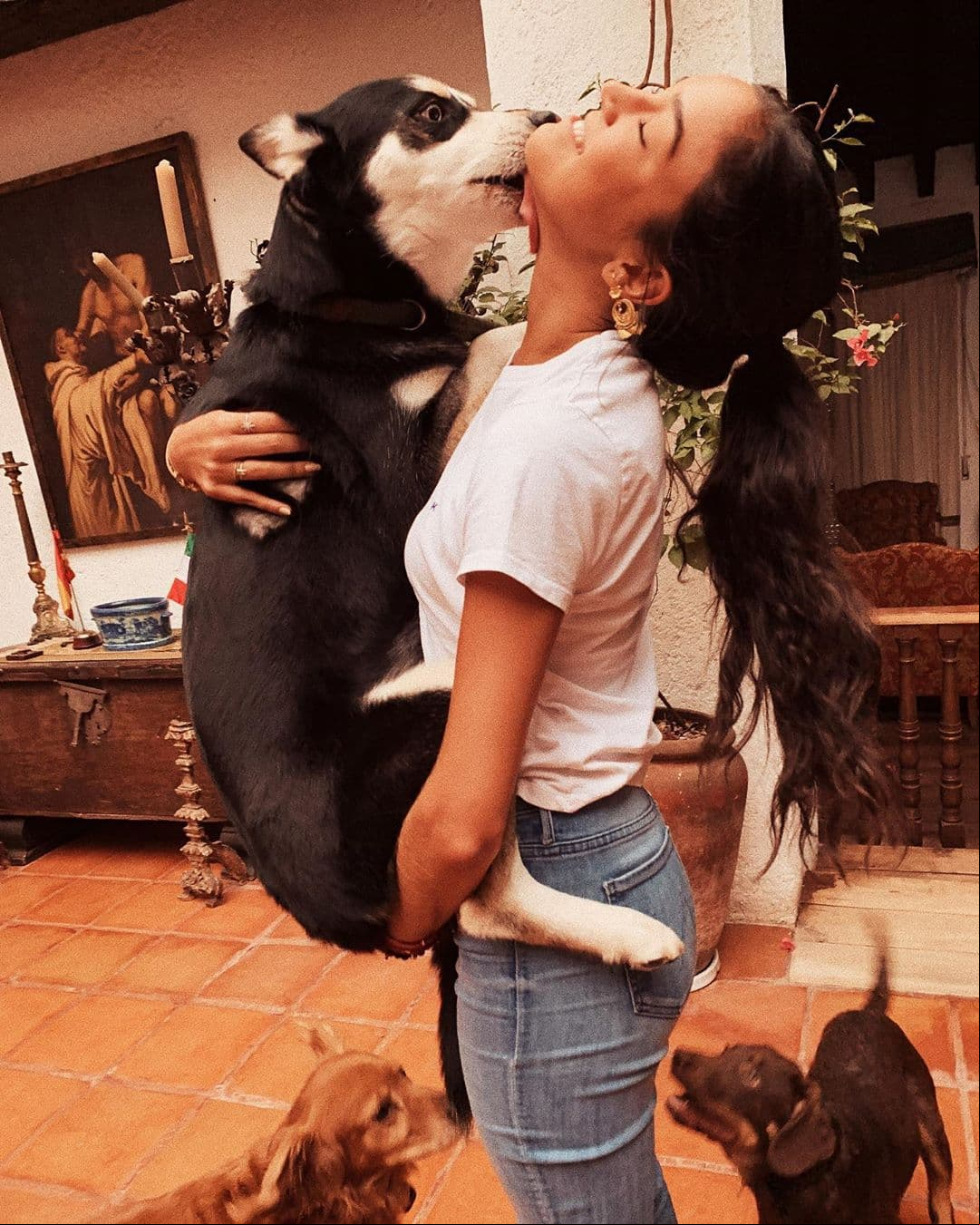 “Irinita”, fue el texto que compartió Alejandra para mostrar el gran cariño que siente por una de sus mascotas.