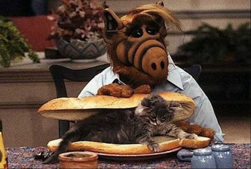 'ALF' trató de comerse a 'Suertudo' en varias ocasiones