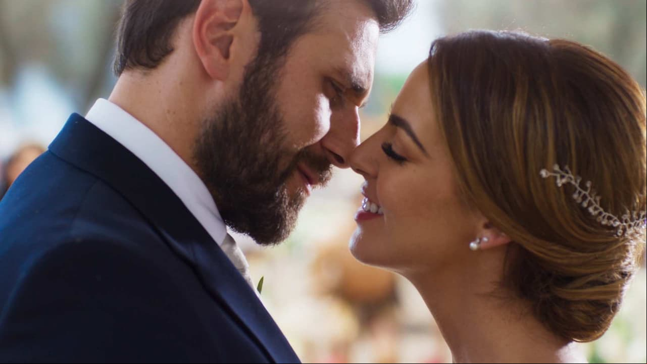Capítulo final: Echar raíces