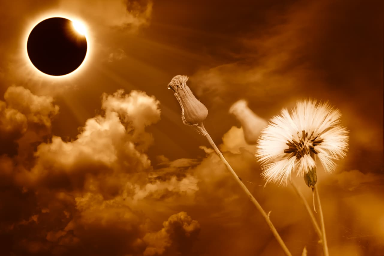 Así influirá la trayectoria del próximo eclipse solar en tu signo zodiacal