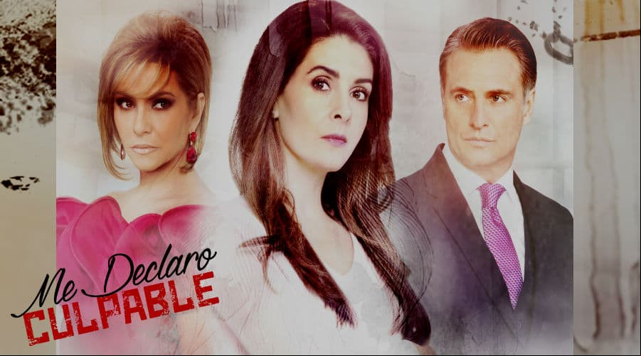 ¡Responde si es cierto o falso y declárate fan!