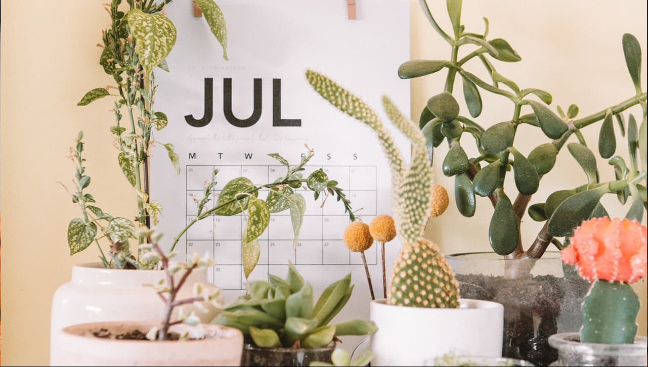 Horóscopo mensual: lo que te deparan los astros este julio 2019