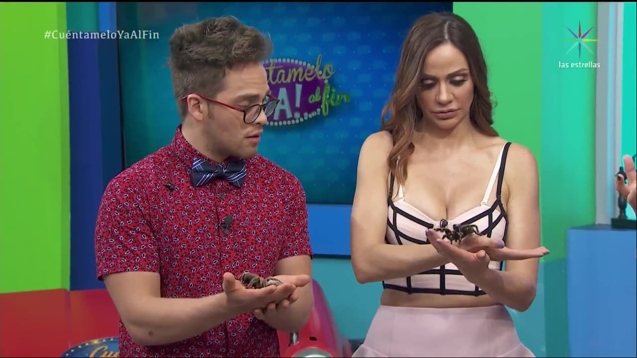 ¡Imperdible!: Esto le hizo una tarántula a la conductora Josselyn Juncal