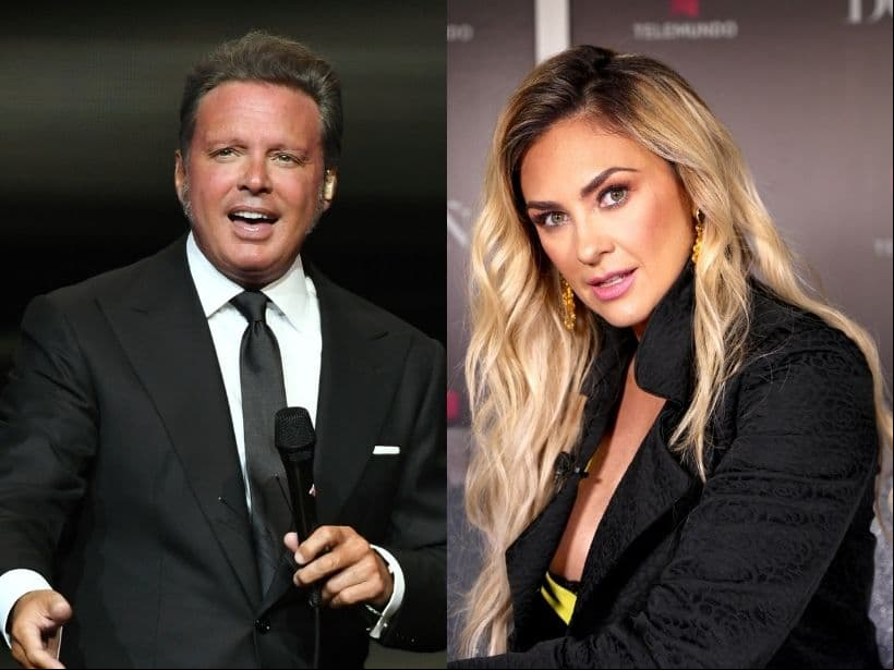 Tal es el caso de Arturo Carmona, Sebastián Rulli y, por supuesto, el cantante mexicano Luis Miguel, con quien estuvo entre 2005 y 2009, y con quien procreó a sus dos hijos: Miguel y Daniel.