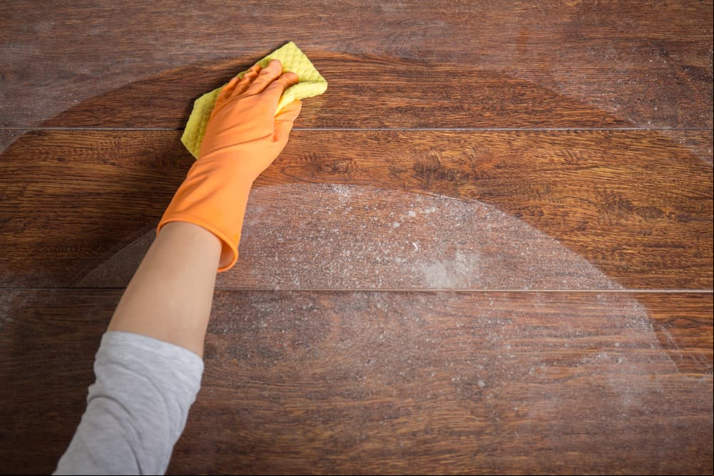 7 cosas de tu hogar que deberías limpiar más seguido