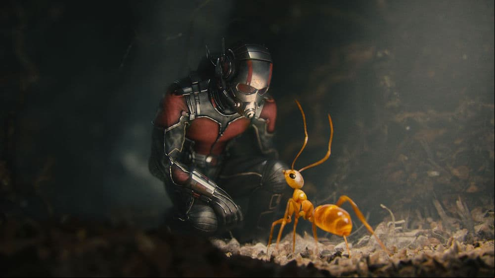 Finaliza el rodaje de la secuela de 'Ant-Man'