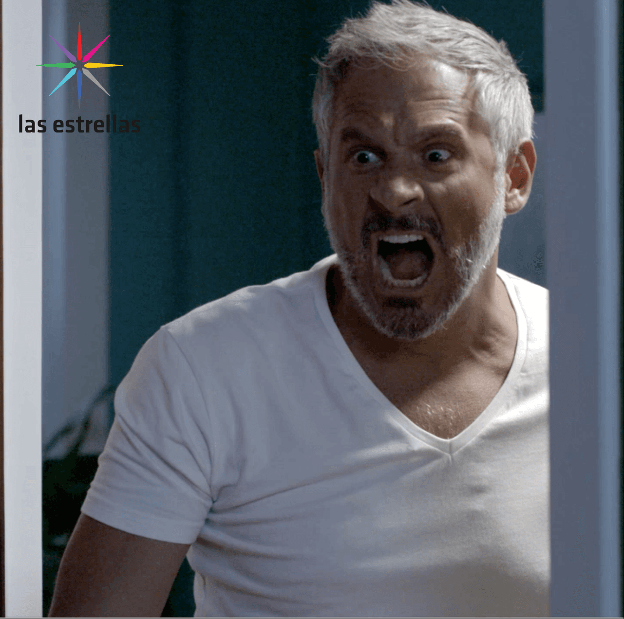 Simón va a pedirle una disculpa a Ifigenia y descubre ¡que duerme a raíz!