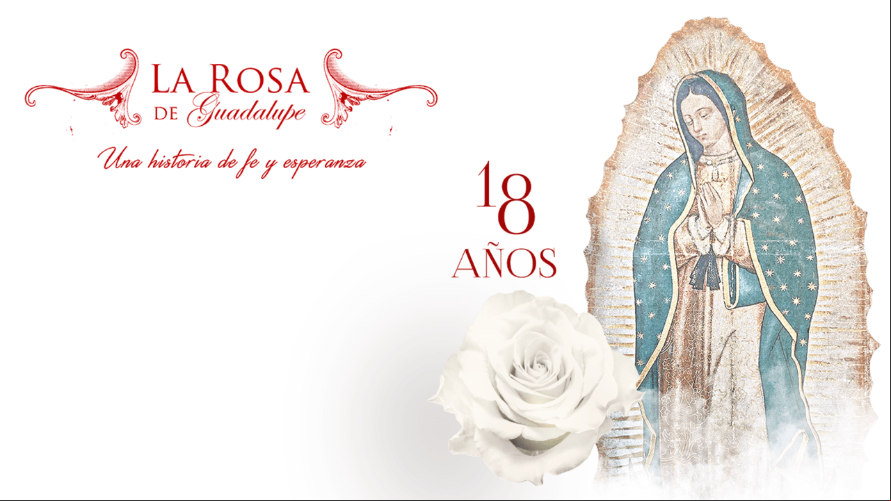 18 impactantes momentos de ‘La Rosa de Guadalupe’ que se volvieron virales