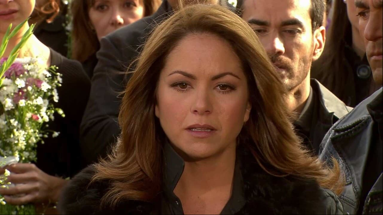 Resumen Capítulo 82: Es hora de despedirnos nana