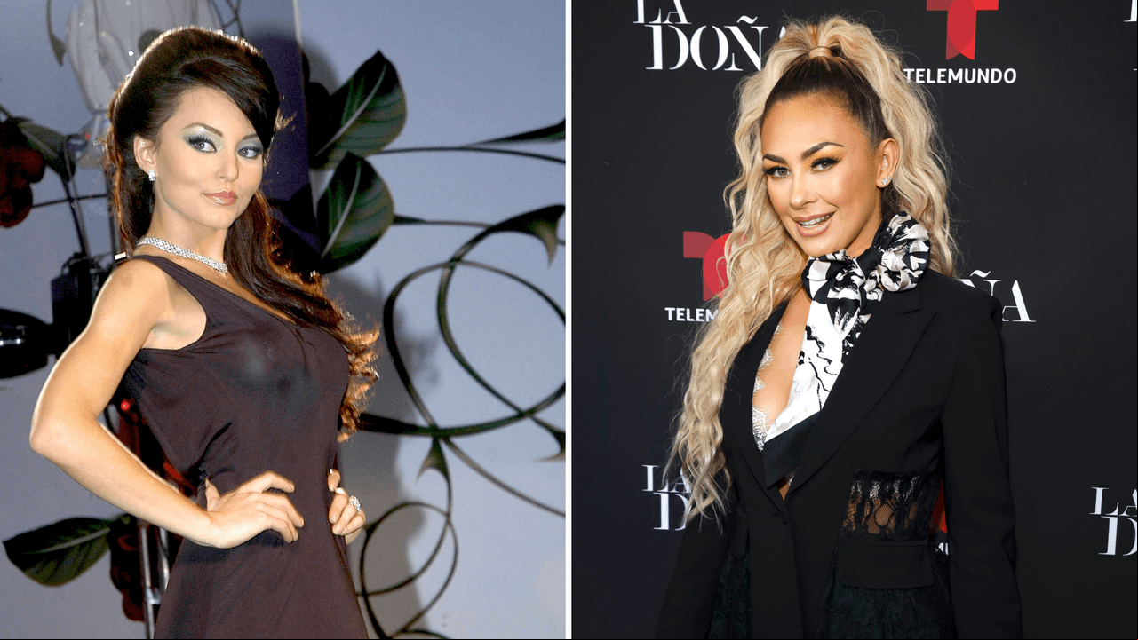 'Teresa' es una exitosa telenovela estrenada en 2010 protagonizada por Angelique Boyer, Sebastián Rulli y Aarón Díaz. Para sorpresa de muchos, hace tan solo unos días, Aracely Arámbula reveló que el papel de la bella, pero perversa 'Teresa' le fue ofrecido. Pero, por motivos personales decidió no hacerlo.