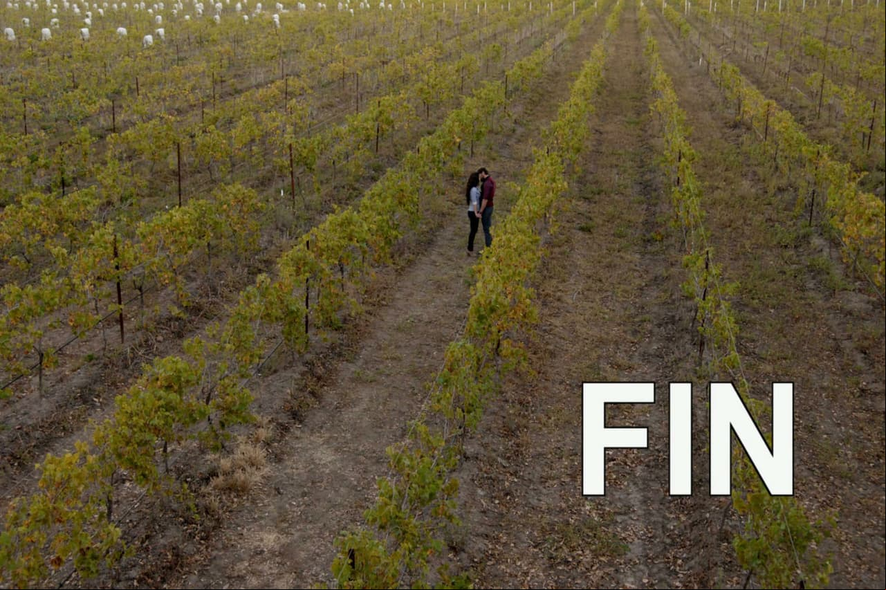 La última cosecha de Vino el amor