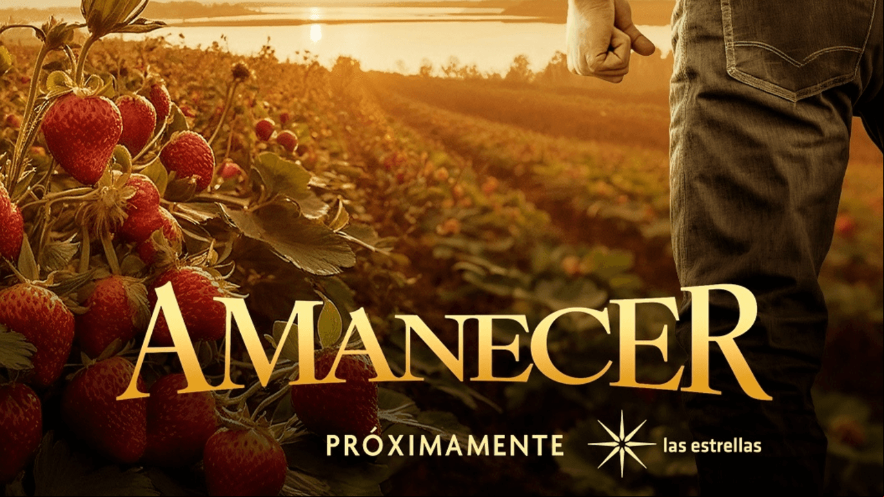 Amanecer: Conoce a todo el elenco de la nueva telenovela de Juan Osorio