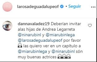 Comentario a La Rosa de Guadalupe