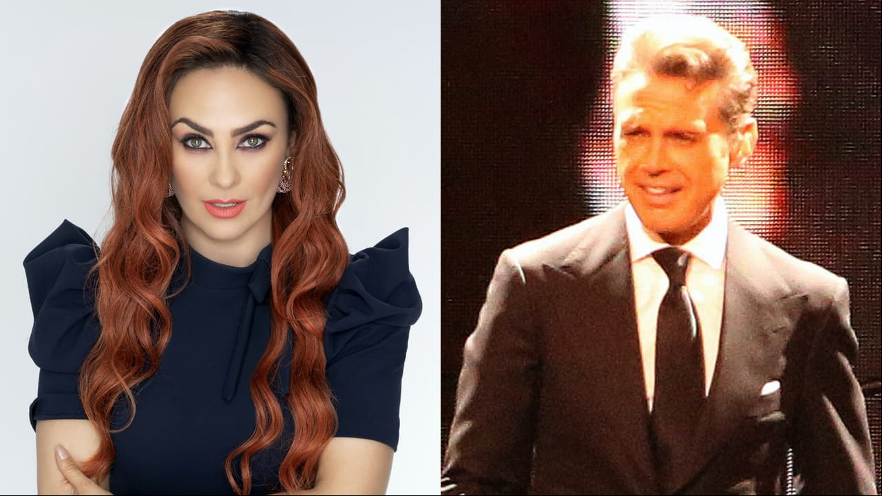 Abogado de Aracely Arámbula ventila desde cuándo 'Luismi' no pagaría manutención